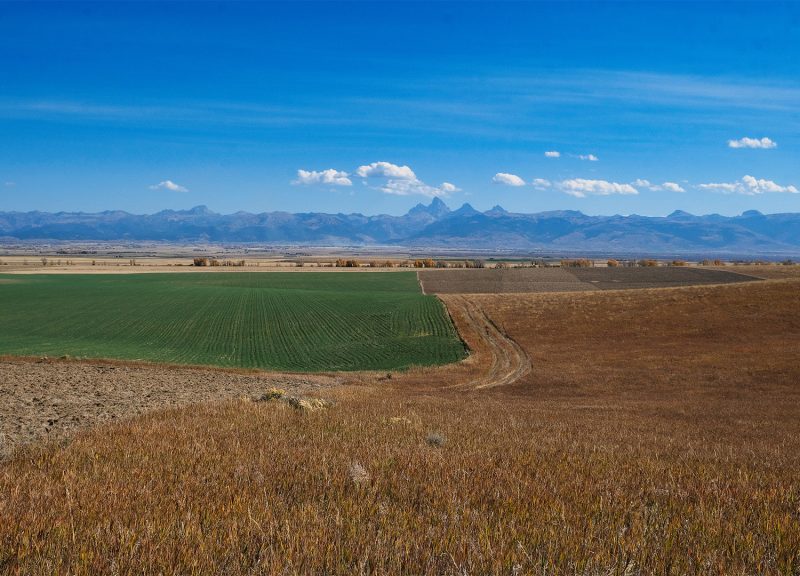farmland aerial view with crops