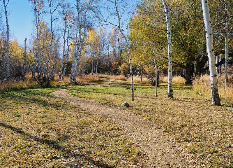 Trail on The Homestead property