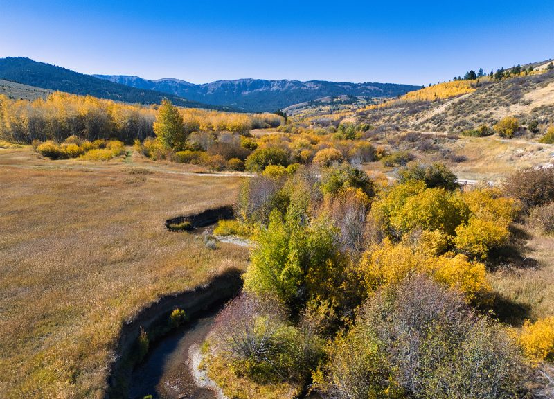 river on The Homestead property