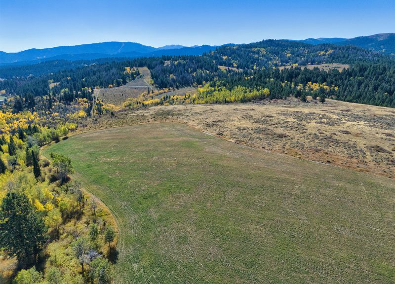 Rocky point field aerial view