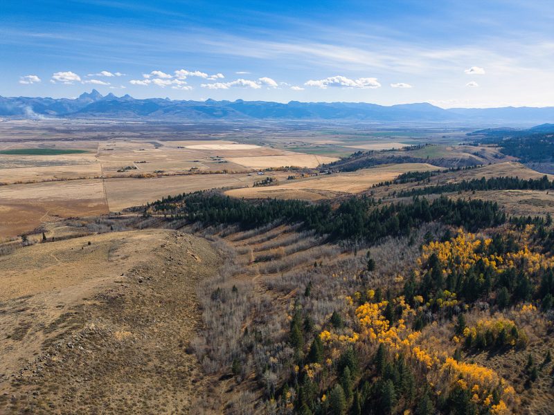 Big Holes Woods Canyon aerial view