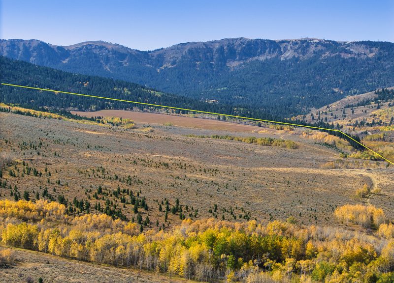 Homestead cabin parcel