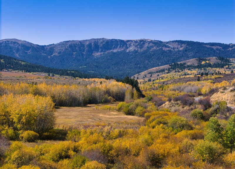 Homestead Cabin Parcel