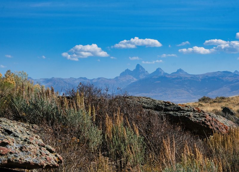 Big holes woods canyon
